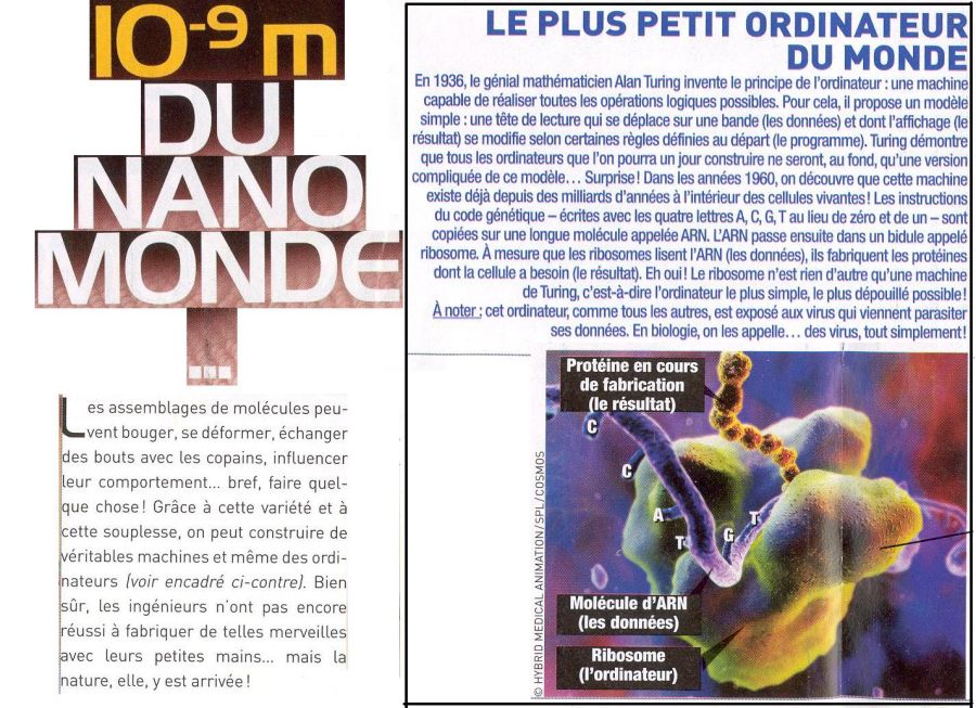 H10m9nanomribo.JPG