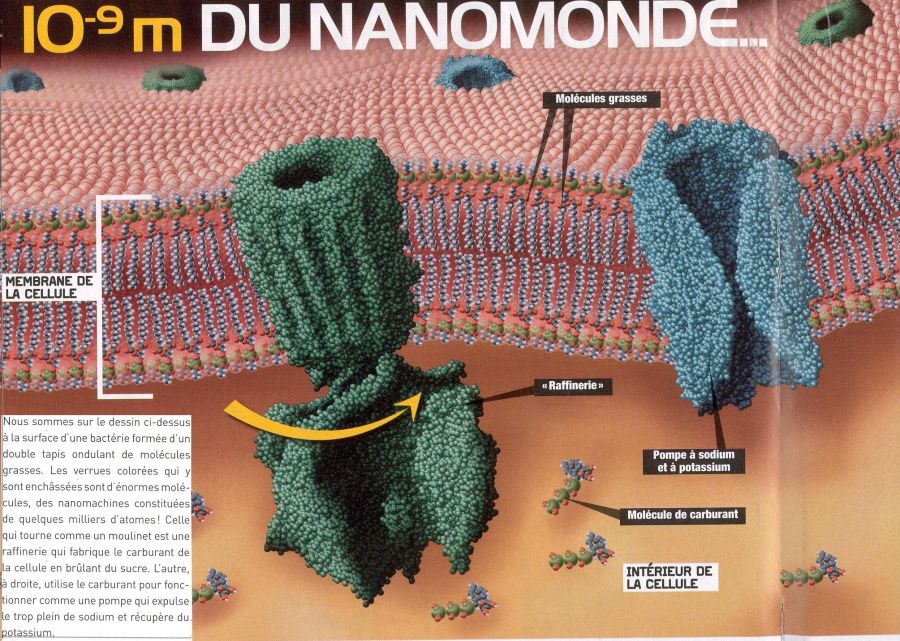 I10m9membrane.JPG
