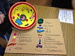 080.JPG