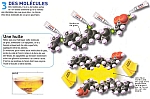 Fmeccan3molechuile.JPG