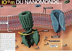 I10m9membrane.JPG